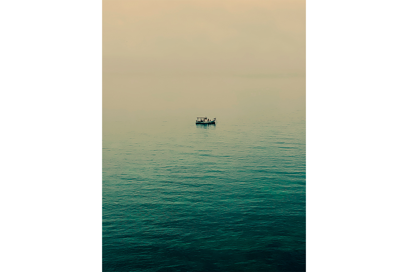 img-diapo