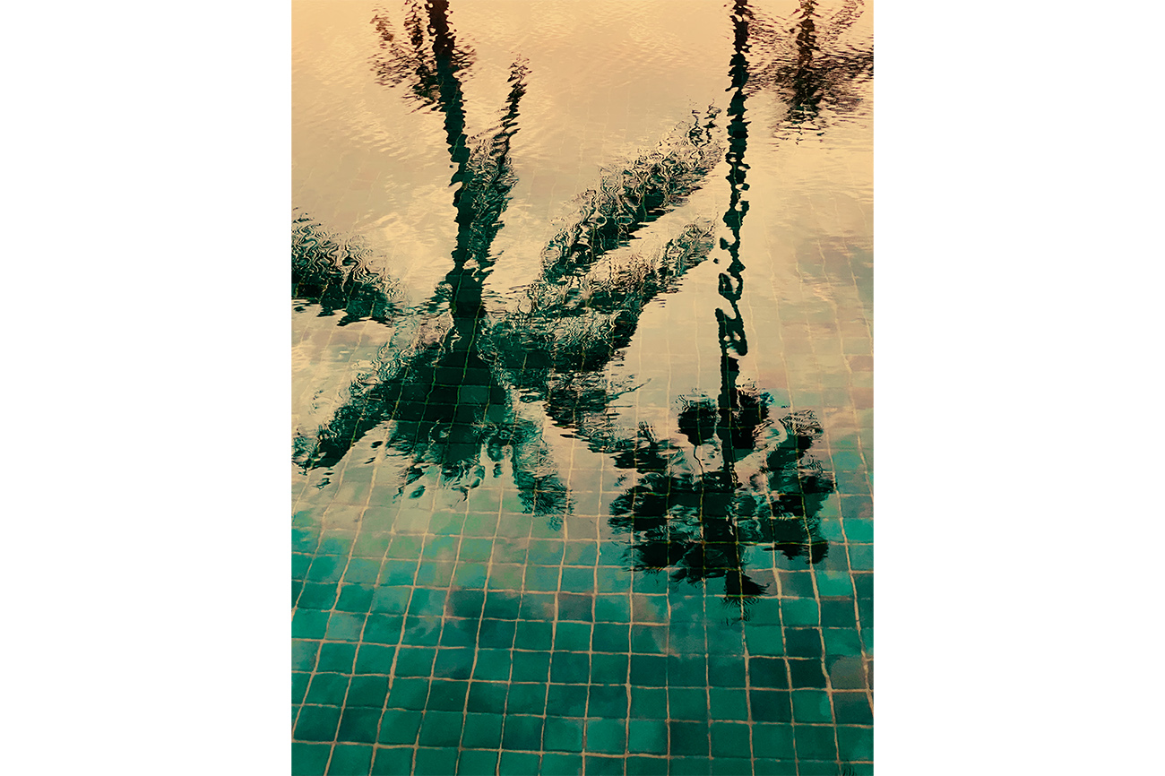 img-diapo